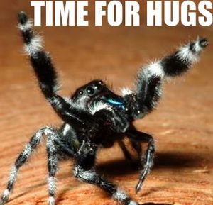 HUGSPIDER.jpg