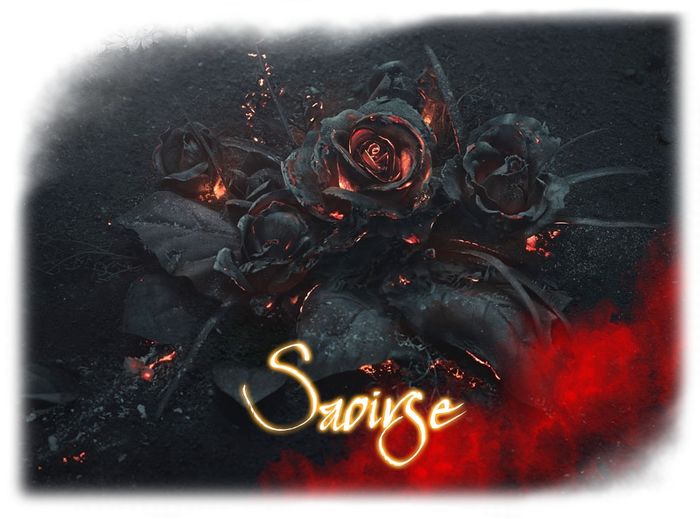 Saiorse Banner.jpg